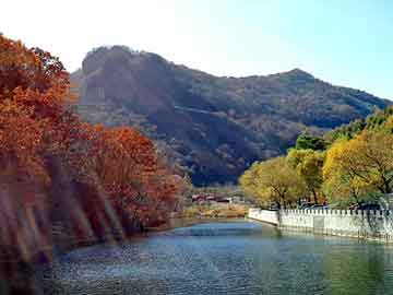 澳门二四六天天彩图库，地下十八层